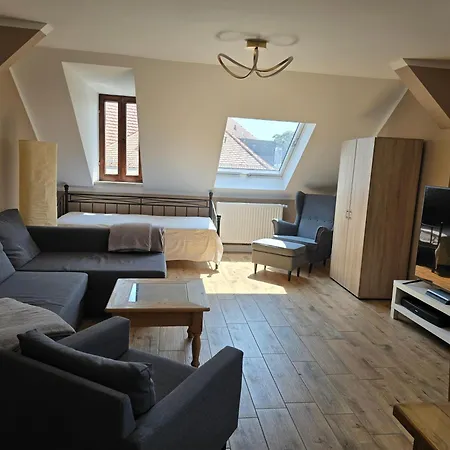 Apartment Helle, Gemuetliche Gaestewohnung Im Haus Zur Wartburg Riesa